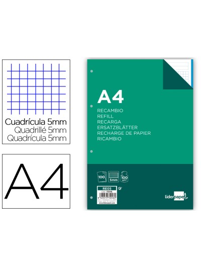 Recambio liderpapel a4 100 hojas 100g/m2 cuadro 5mm 4 taladros bandas de 5 colores