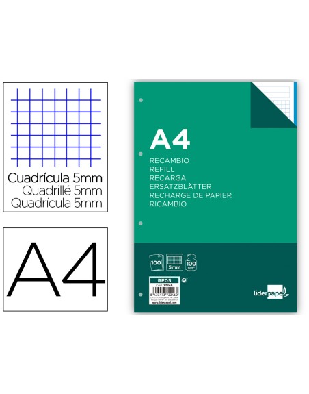 Recambio liderpapel a4 100 hojas 100g/m2 cuadro 5mm 4 taladros bandas de 5 colores