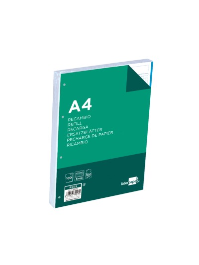 Recambio liderpapel a4 100 hojas 100g/m2 cuadro 5mm 4 taladros bandas de 5 colores