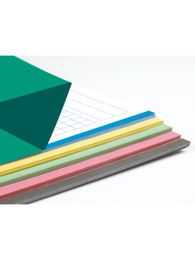 Recambio liderpapel a4 100 hojas 100g/m2 cuadro 5mm 4 taladros bandas de 5 colores