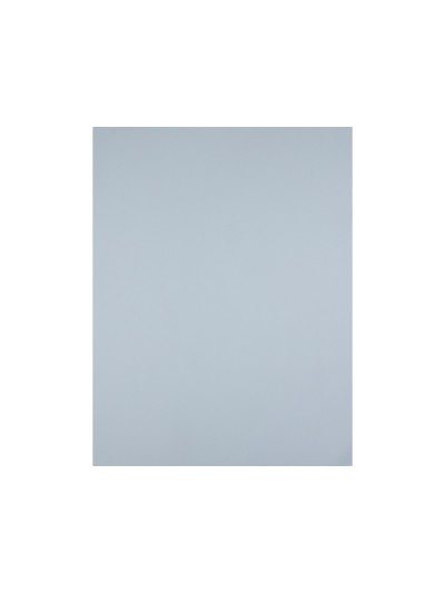 Cartulina liderpapel 50x65 cm 180 gr gris paquete de 25 hojas