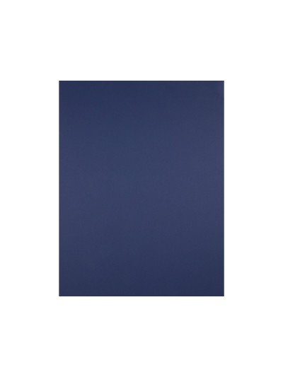 Cartulina liderpapel 50x65 cm 180 gr zafiro paquete de 25 hojas