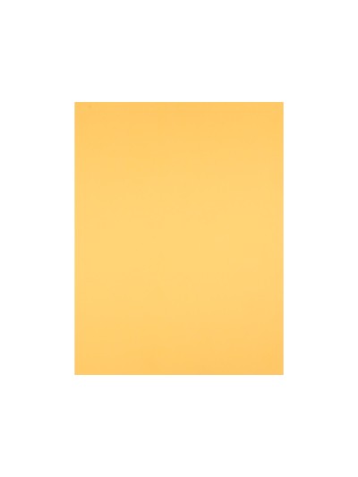 Cartulina liderpapel 50x65 cm 180 gr oro paquete de 25 hojas