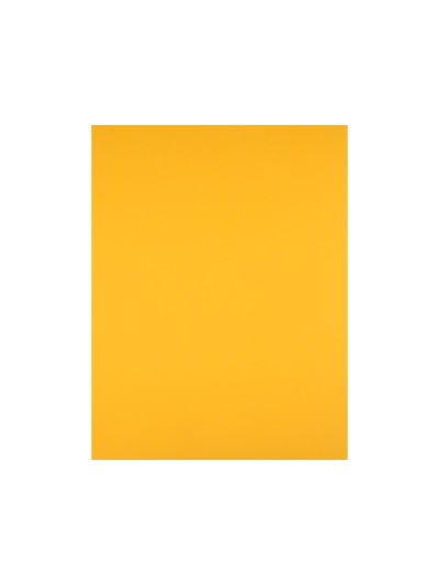 Cartulina liderpapel 50x65 cm 180 gr oro viejo paquete de 25 hojas
