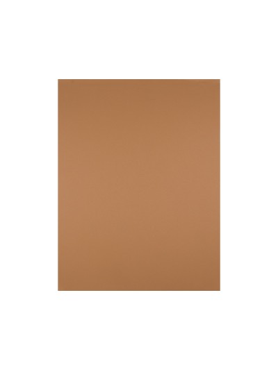 Cartulina liderpapel 50x65 cm 180 gr marron escolar paquete de 25 hojas