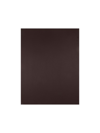Cartulina liderpapel 50x65 cm 180 gr marron paquete de 25 hojas