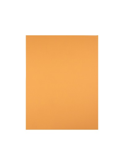 Cartulina liderpapel 50x65 cm 180 gr avellana paquete de 25 hojas