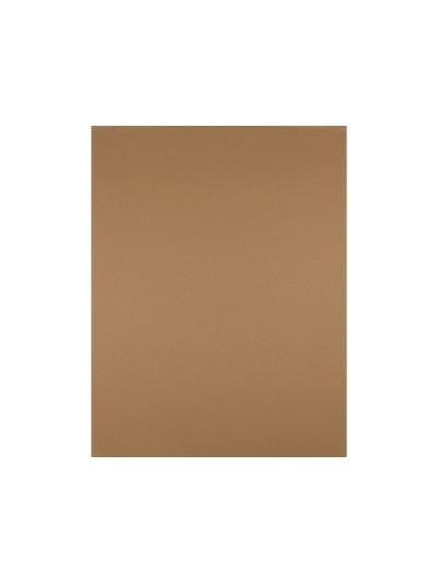 Cartulina liderpapel 50x65 cm 180 gr marron escolar unidad