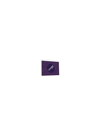 Expositor mural archivo 2000 din a3 horizontal con taladros espesor 2 mm cristal transparente 420x325 mm