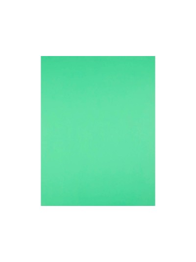 Cartulina liderpapel 50x65 cm 240g/m2 verde pistacho paquete de 25 hojas