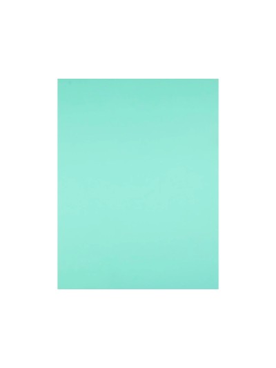 Cartulina liderpapel 50x65 cm 240g/m2 verde paquete de 25 hojas