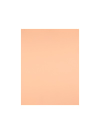 Cartulina liderpapel 50x65 cm 240g/m2 sepia paquete de 25 hojas