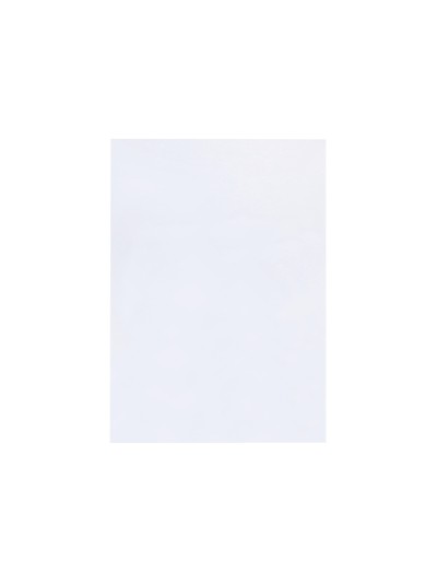 Tapa encuadernacion liderpapel polipropileno a4 0.33mm translucida paquete de 150 unidades
