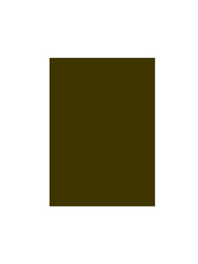 Cartulina liderpapel 50x65 cm 240 g/m2 marron claro escolar
