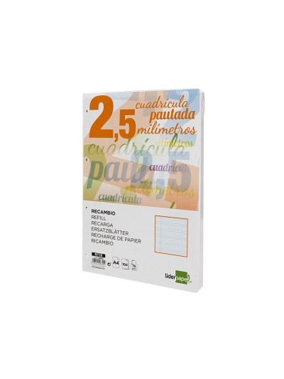 Recambio liderpapel a4 pautaguia 100 hojas 75 g/m2 cuadriculado pautado 2,5 mm con margen 4 taladros