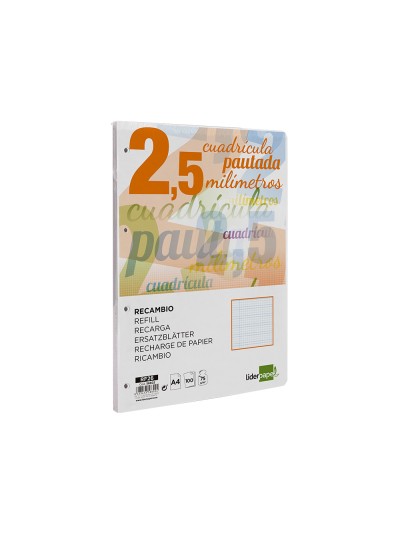 Recambio liderpapel a4 pautaguia 100 hojas 75 g/m2 cuadriculado pautado 2,5 mm con margen 4 taladros
