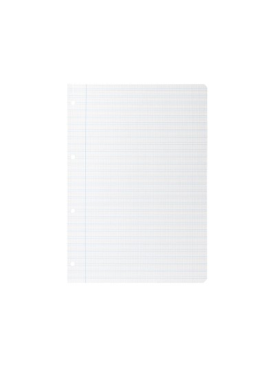 Recambio liderpapel a4 pautaguia 100 hojas 75 g/m2 cuadriculado pautado 2,5 mm con margen 4 taladros