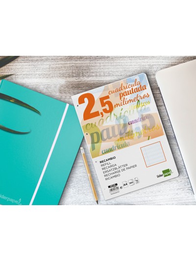 Recambio liderpapel a4 pautaguia 100 hojas 75 g/m2 cuadriculado pautado 2,5 mm con margen 4 taladros