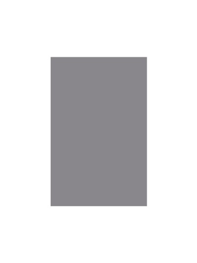 Cartulina liderpapel 50x65 cm gris 240 gr unidad