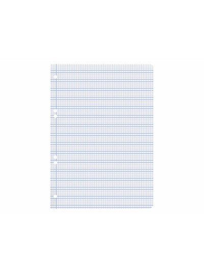 Recambio liderpapel cuarto pautaguia 100 hojas 75 g cuadriculado pautado 3 mm con margen 6 taladros