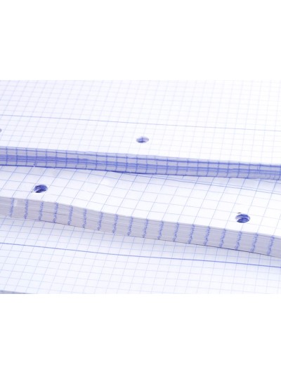 Recambio liderpapel a4 100 hojas 75g/m2 cuadro 4mm con margen 4 taladros