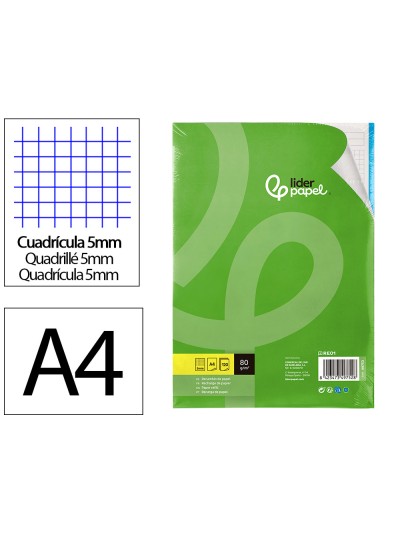 Recambio liderpapel a4 120 hojas 80g/m2 cuadro 5mm sin margen 4 taladros bandas de 5 colores