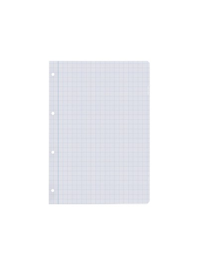Recambio liderpapel a4 100 hojas 100g/m2 cuadro 2mm con margen 4 taladros