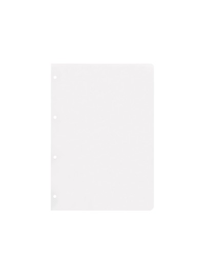 Recambio liderpapel a4 100 hojas 100g/m2 liso sin margen 4 taladros