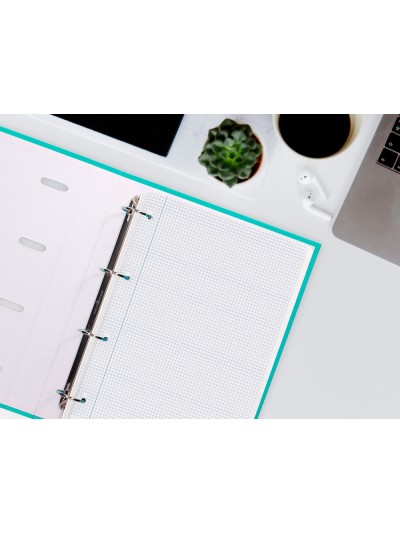 Recambio liderpapel a4 100 hojas 100g/m2 cuadro 4mm con margen 4 taladros
