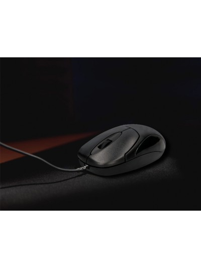 Raton q-connect optico 800 dpi usb 1,5 ghz negro