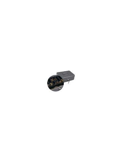 Caja caudales q-connect 10/' 250x180x90 mm plata con portamonedas