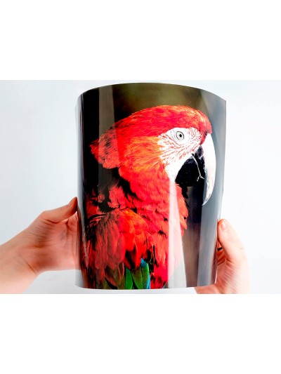 Papel q-connect foto glossy kf02163 din a4 alta calidad digital photo para ink-jet bolsa de 20 hojas de 260 gr