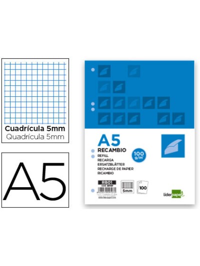 Recambio liderpapel a5 100 h 100g/m2 cuadro 5mm con margen 6 taladros