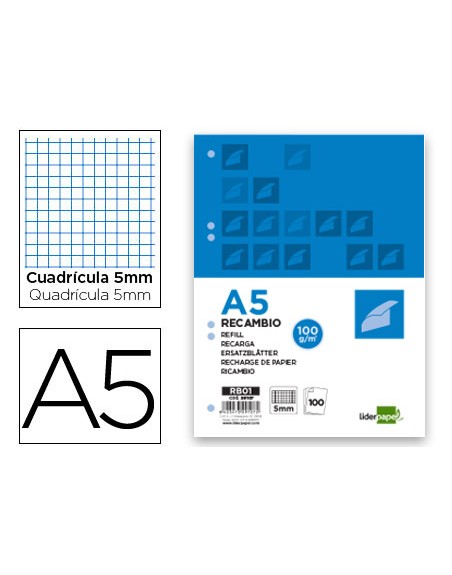 Recambio liderpapel a5 100 h 100g/m2 cuadro 5mm con margen 6 taladros