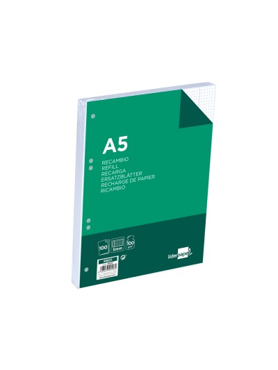 Recambio liderpapel a5 100 h 100g/m2 cuadro 5mm con margen 6 taladros