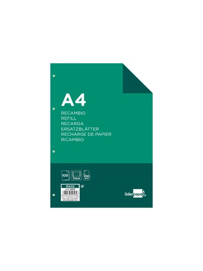 Recambio liderpapel a4 100 hojas 100g/m2 horizontal con doble margen 4 taladros