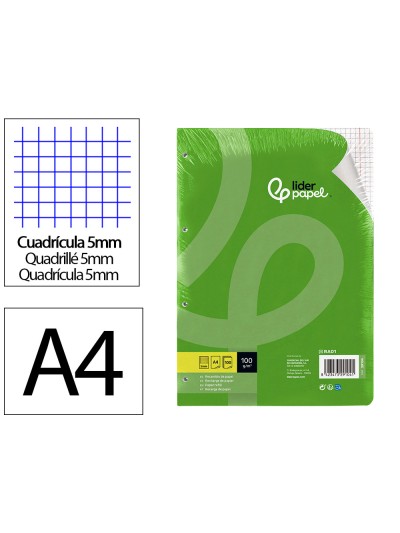 Recambio liderpapel a4 100 hojas 100g/m2 cuadro 5mm con doble margen 4 taladros
