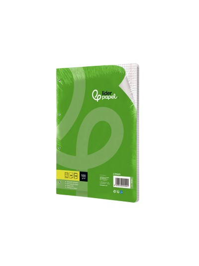 Recambio liderpapel a4 100 hojas 100g/m2 cuadro 5mm con doble margen 4 taladros