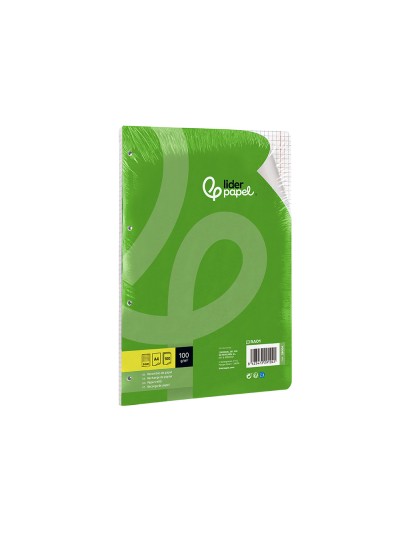 Recambio liderpapel a4 100 hojas 100g/m2 cuadro 5mm con doble margen 4 taladros