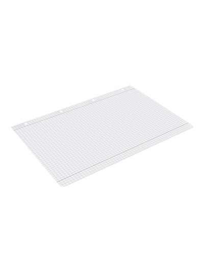 Recambio liderpapel a4 100 hojas 100g/m2 cuadro 5mm con doble margen 4 taladros