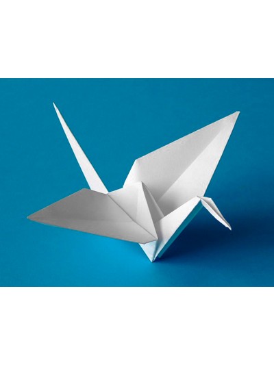 Cartulina liderpapel 50x65 cm 180g/m2 blanco