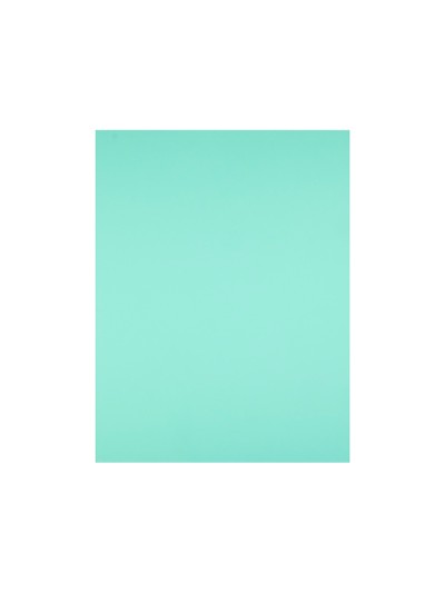 Cartulina liderpapel 50x65 cm 180g/m2 verde