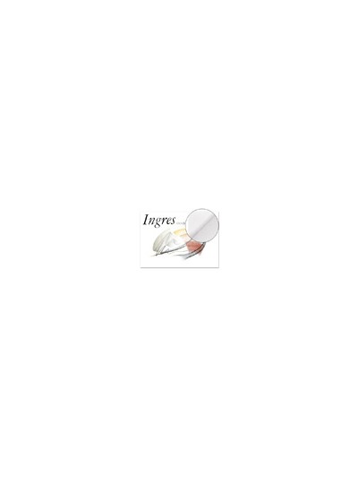 Bloc dibujo ingres 325x460 mm 20 hojas de 108 g/m2