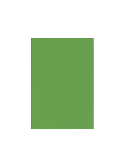 Cartulina liderpapel a4 180g/m2 verde abeto paquete de 100 hojas