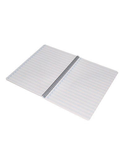 Cuaderno espiral liderpapel folio pautaguia tapa plastico 80h 75gr cuadro pautado 4mm con margen color azul