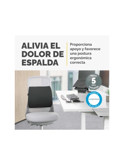Respaldo ergonomico fellowes lumbar acolchado breyta comfort color negro 330x380x90 mm