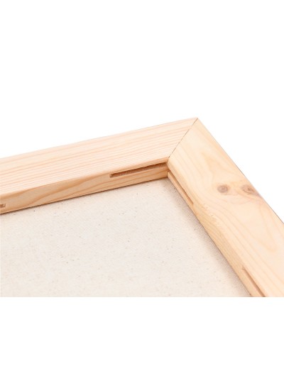Bastidor lidercolor lienzo grapado lateral algodon 100% 20x20 cm