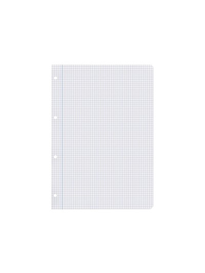 Recambio liderpapel a4 200+50 hojas 90g/m2 cuadro 4 mm con margen 4 taladros
