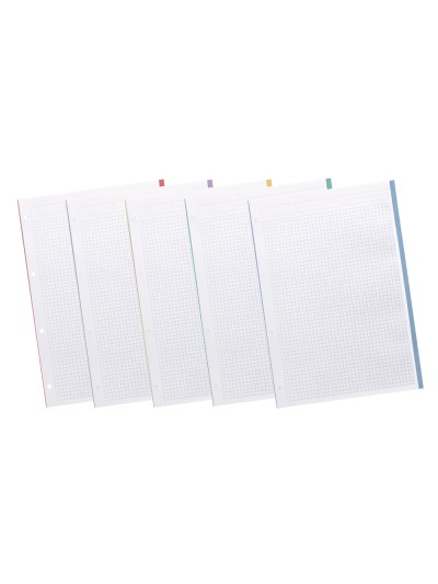 Recambio liderpapel a4 200+50 hojas 90g/m2 cuadro 5 mm 4 taladros bandas de 5 colores