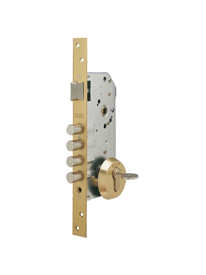 Cerradura Tesa Seguridad R100B566 Esmaltada